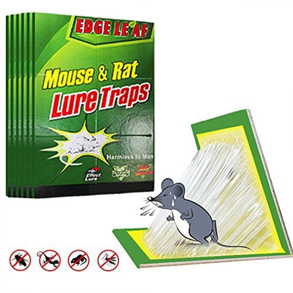 Лепкащ капан за плъхове и мишки - безопасен, без токсини и отрови
